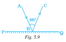 Page 128 Chapter 5 Class 7th NCERT Exemplar Page 128 Chapter 5 Class 7th NCERT Exemplar